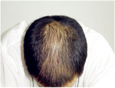 �����ѷ������������������ܼ������Ʒ���